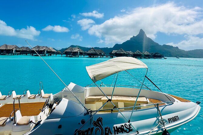 Crazy sea horse Bora Bora Comfortable boat, snorkeling and lunch - The Value of This Tour: What You Get for $200