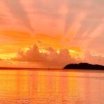Crazy sea horse Private Sunset Tour in Bora Bora - Authentic Experiences and Authentic Guides