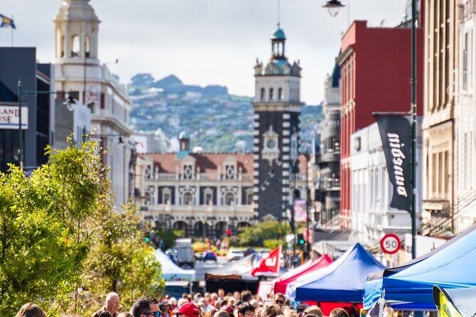 Cruise Dunedin City and Castle Tour - Why This Tour Offers Great Value