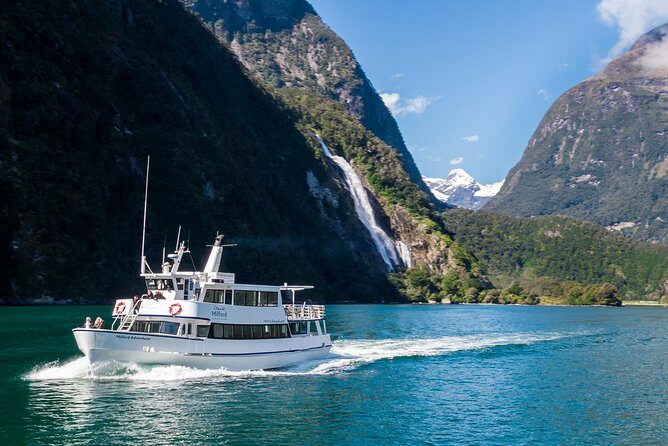 Cruise Milford NZ Small Boutique Cruise Experience - The Itinerary and Highlights