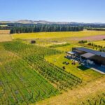 CRUISE SHIP DAY LYTTELTON Hop On Hop Off Wine Tours to Waipara - Who Will Love This Tour?