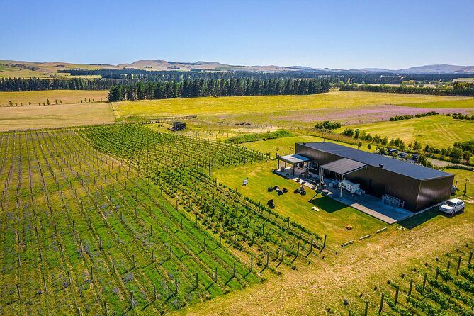 CRUISE SHIP DAY LYTTELTON Hop On Hop Off Wine Tours to Waipara - Who Will Love This Tour?