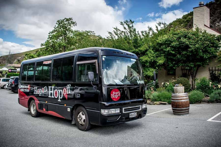 CRUISE SHIP DAYS - HOP ON HOP OFF - Wine, Beer, Food Tour - In-depth Breakdown of the Experience