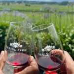 Cruise Ship Friendly Yarra Valley Wine Tour with Port Pickup - The Experience and What It Means for You