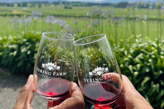 Cruise Ship Friendly Yarra Valley Wine Tour with Port Pickup - The Experience and What It Means for You