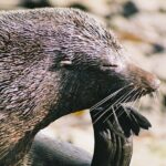 Cruise, Walk, and Sail in Abel Tasman National Park - Practical Details