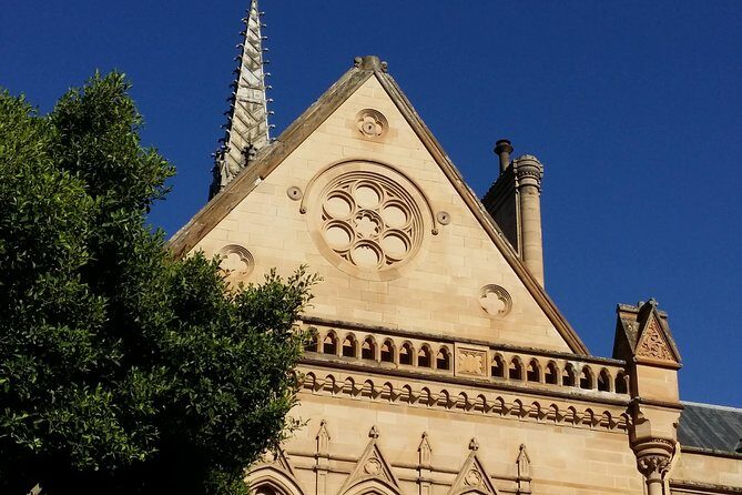 Cultural Caper Adelaide Walking Tour - The Experience: What You Can Expect
