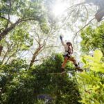 Currumbin: Treetop Challenge Adventure Park - The Itinerary in Detail
