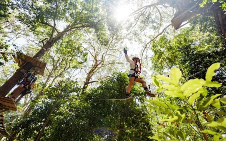 Currumbin: Treetop Challenge Adventure Park - The Itinerary in Detail