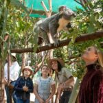 Currumbin Wildlife Sanctuary General Entry Ticket - Final Thoughts