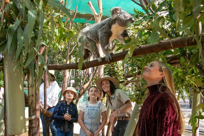 Currumbin Wildlife Sanctuary General Entry Ticket - Final Thoughts