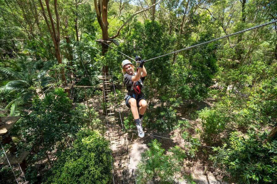 Currumbin Wildlife Sanctuary & TreeTop Challenge Combo - Practical Details and Tips