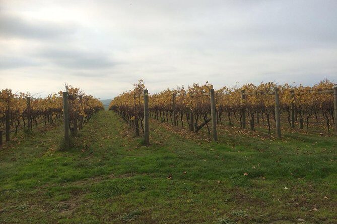 Customized private winery day tour in Mornington Peninsula at your own choices - Why Choose This Tour?