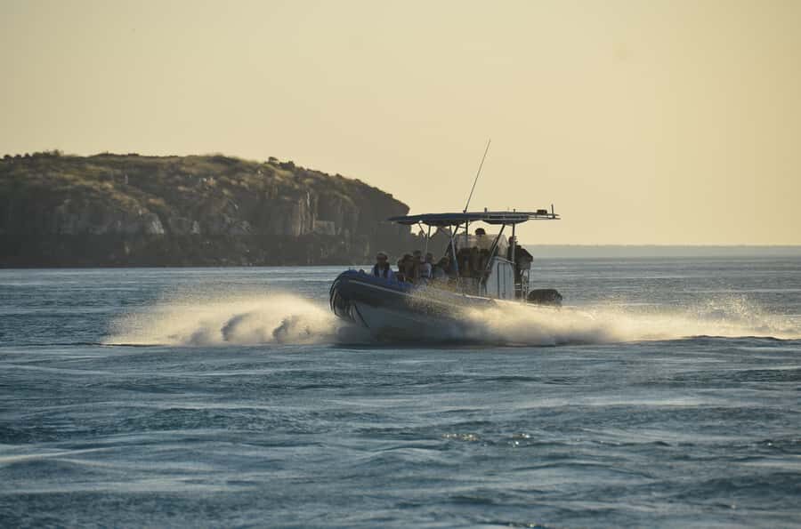 Cygnet Bay Island Explorer Scenic Cruise Experience - Who should consider this tour?