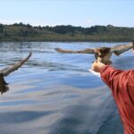 Daily Scenic Maori Rock Carving Cruise Taupo - What Makes This Cruise Stand Out?