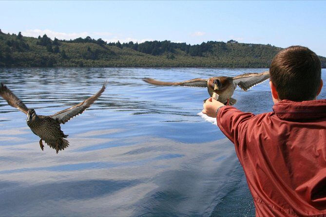 Daily Scenic Maori Rock Carving Cruise Taupo - What Makes This Cruise Stand Out?