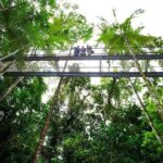Daintree Discovery Centre Family Pass Ticket - A Detailed Breakdown of the Itinerary