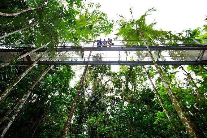 Daintree Discovery Centre Family Pass Ticket - A Detailed Breakdown of the Itinerary