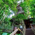 Daintree Discovery Centre Single Pass - The Itinerary in Detail