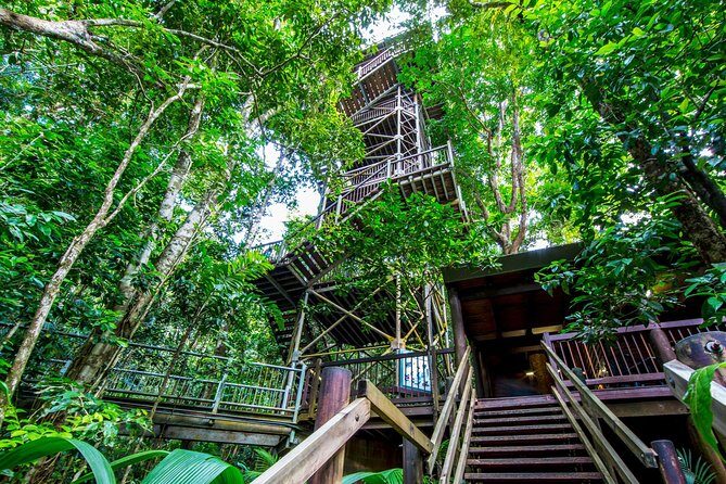 Daintree Discovery Centre Single Pass - The Itinerary in Detail