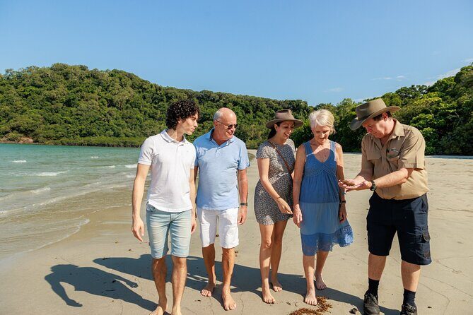 Daintree Rainforest and Cape Tribulation Day Tour from Cairns - What Travelers Can Expect