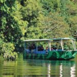 Daintree River Rainforest: Crocodile & Wildlife Cruises (DG) - Key Points
