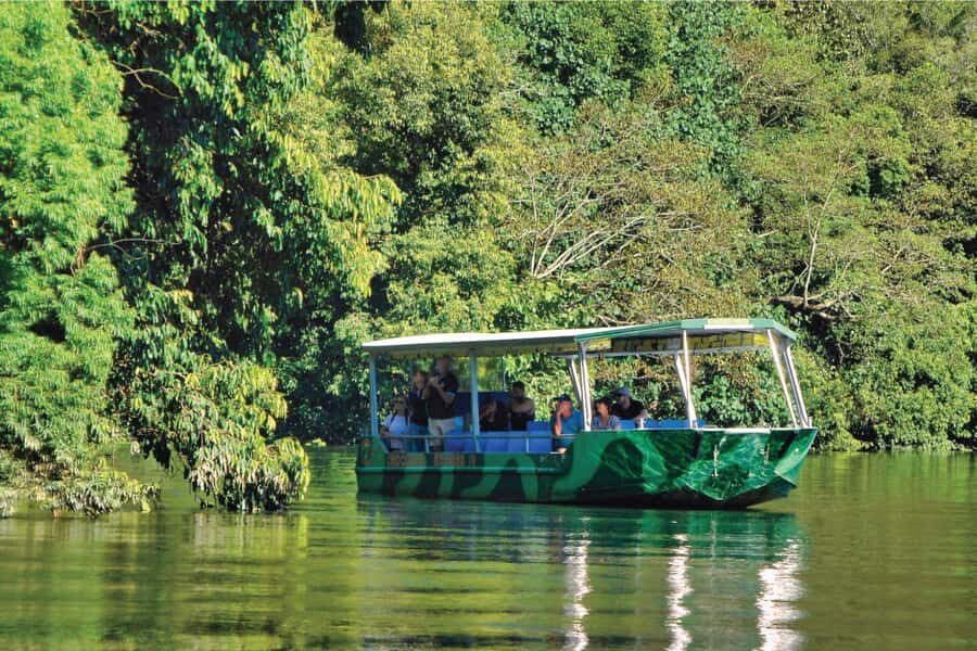 Daintree River Rainforest: Crocodile & Wildlife Cruises (DG) - Key Points