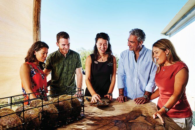 Dampier Peninsula & Aboriginal Communities from Broome (Optional Scenic Flight) - Analyzing the Value