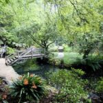Dandenong Ranges Private Day Tour - Authentic Experiences and Travel Tips