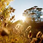 d'Arenberg: The Blending Bench Experience - The Value of the Experience