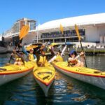 Darling Harbour Explorer - Sea Kayaking Tour - The Itinerary in Detail