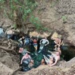 Darwin: 5-Day 4WD Kakadu Litchfield Tour & Billabong Cruise - What’s Included and What’s Not