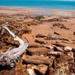 Darwin: Big Bus Open-Top Hop-on Hop-off Tour - Authentic Experiences and Practical Tips