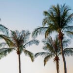 Darwin City Sightseeing Tour - Who Will Appreciate This Tour?