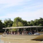 Darwin: Jumping Crocodile Adventure Cruise with Lunch - Authentic Experiences & Tips from Reviews
