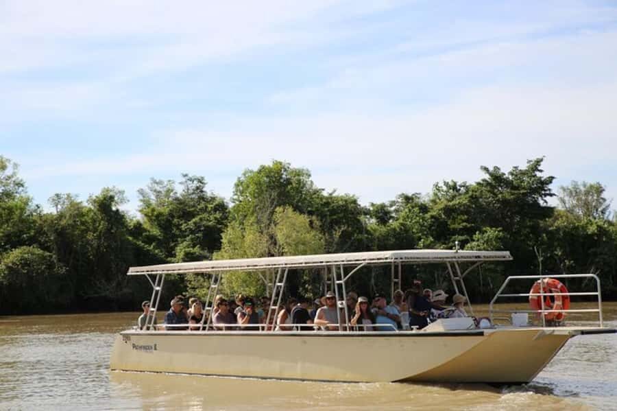 Darwin: Jumping Crocodile Adventure Cruise with Lunch - Authentic Experiences & Tips from Reviews