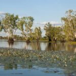 Darwin: Kakadu National Park Day Trip - Practical Details and Value