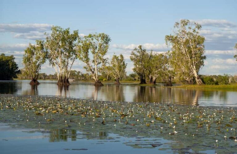 Darwin: Kakadu National Park Day Trip - Practical Details and Value