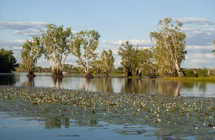 Darwin: Kakadu National Park Day Trip - Practical Details and Value