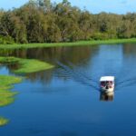 Darwin: Kakadu & Ubirr Cultural Experience - Visiting Ubirr: Art and Panoramic Views