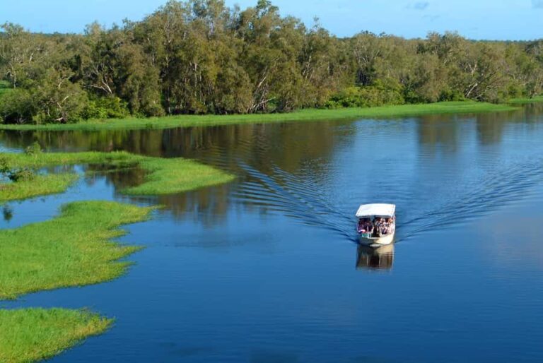 Darwin: Kakadu & Ubirr Cultural Experience - Visiting Ubirr: Art and Panoramic Views