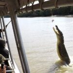 Darwin: Pathfinder Original Jumping Crocodile Cruise - Analyzing the Value and Overall Quality