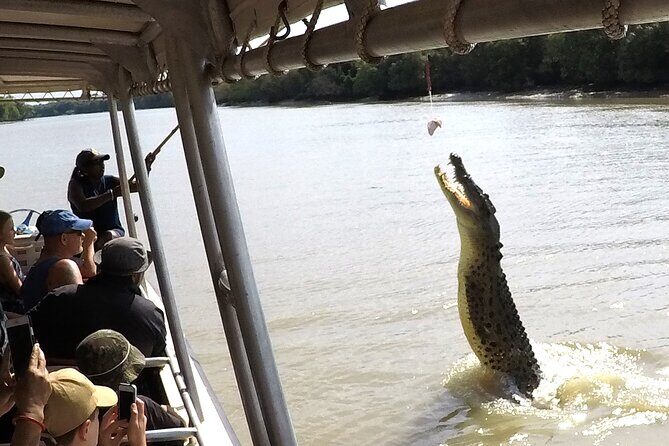 Darwin: Pathfinder Original Jumping Crocodile Cruise - Analyzing the Value and Overall Quality