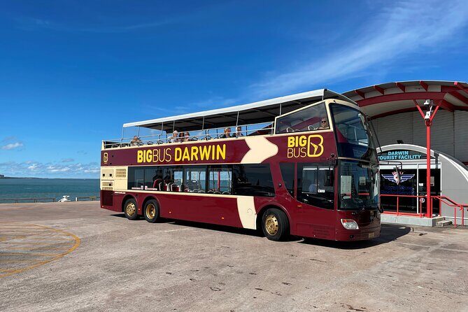 Darwin Shore Excursion: Hop-on Hop-off Bus Tour - Who Is This Tour Best For?