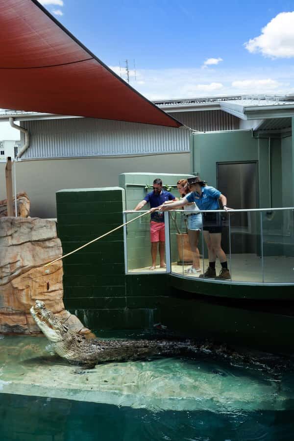 Darwin: VIP Crocosaurus Cove Experience - Why This Tour Works Well