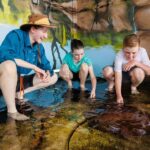 Darwin: Whipray Encounter with Entry to Crocosaurus Cove - The Experience Itself: Details and Highlights