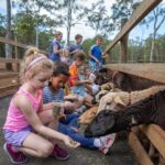 Day Entry ticket - Authentic Visitor Perspectives