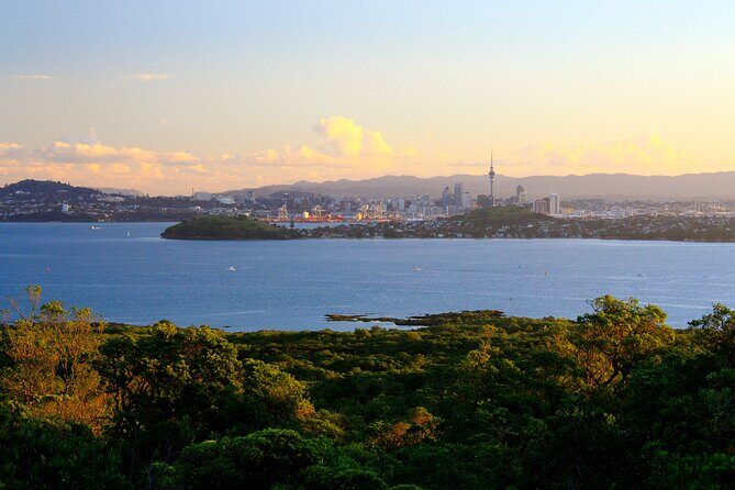 Day sea kayak tour Rangitoto Island - The Sum Up