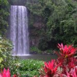 Day Tour to Paronella Park, Lake Barrine and Millaa Millaa Falls - What Travelers Say