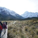 Day Trip: Lake Tekapo to Mt Cook National Park - What Makes This Tour Stand Out?